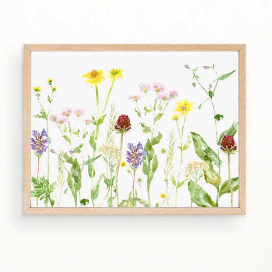 "Wildflower Study" Print