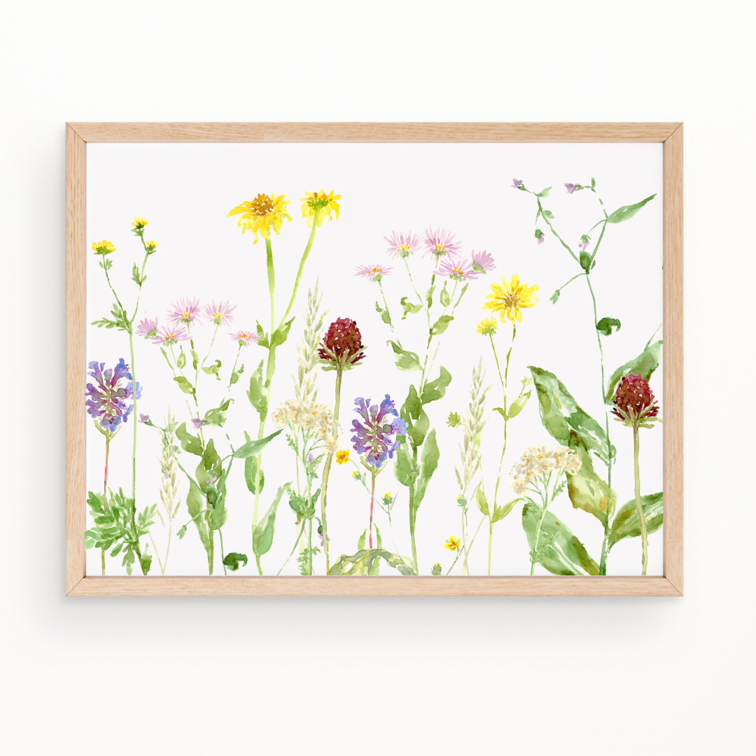 "Wildflower Study" Print