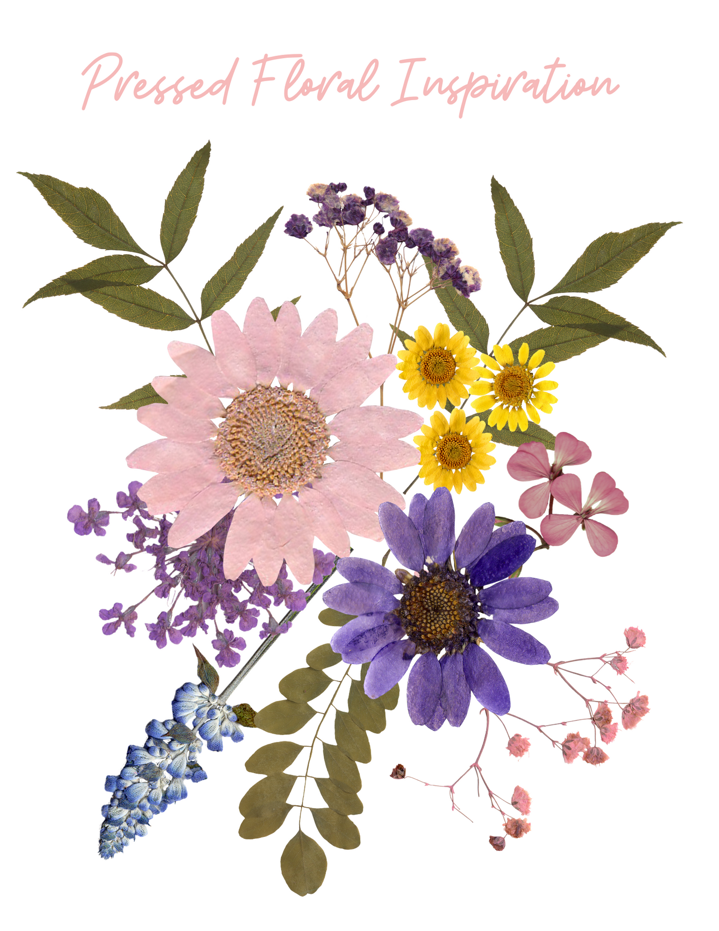 Pressed Floral Inspired Virtual Watercolor Workshop RECORDING