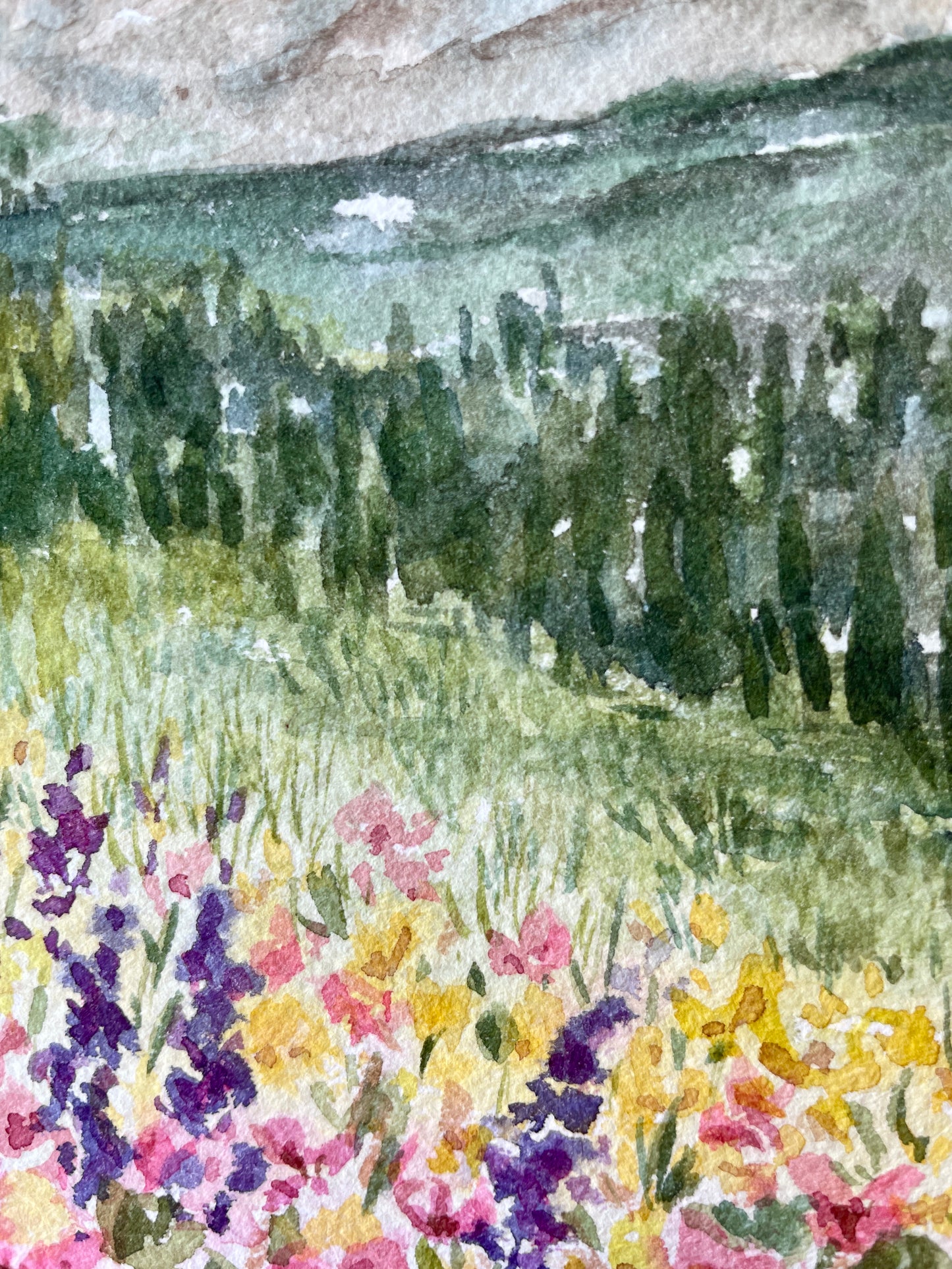 Albion Meadows