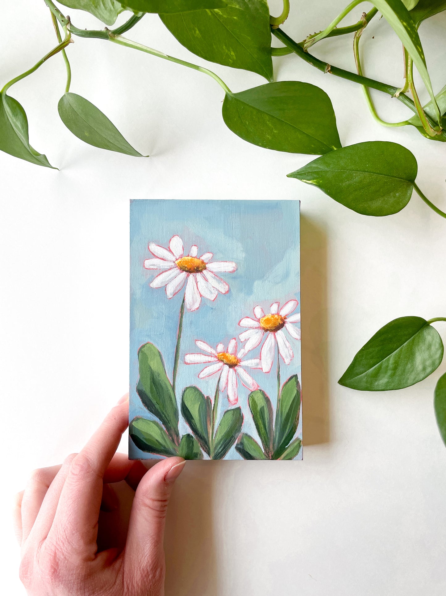 Dainty Daisies