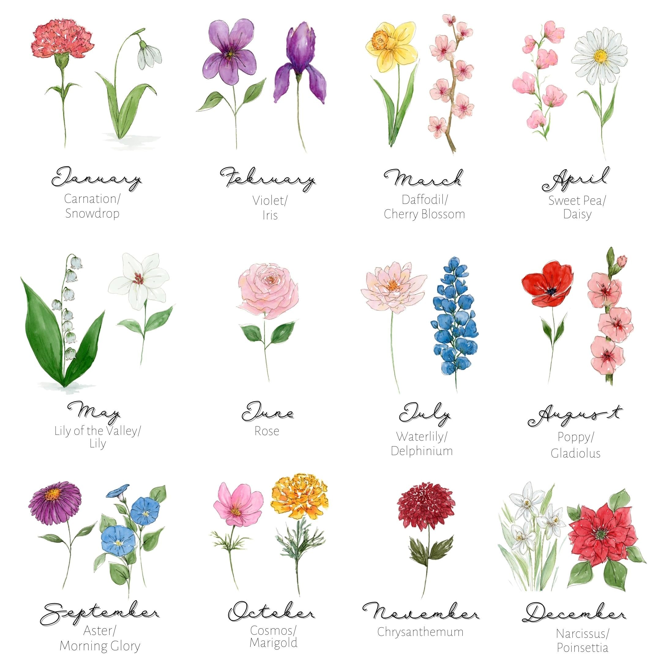 Birth Flower Greeting Card Full Set 22 Flowers Shelly Cluff Art Birth flower greeting card full set 22 flowers shelly cluff art