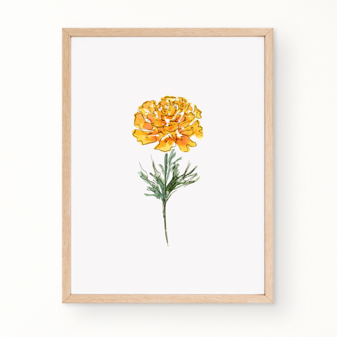 Birth Flower Fine Art Print
