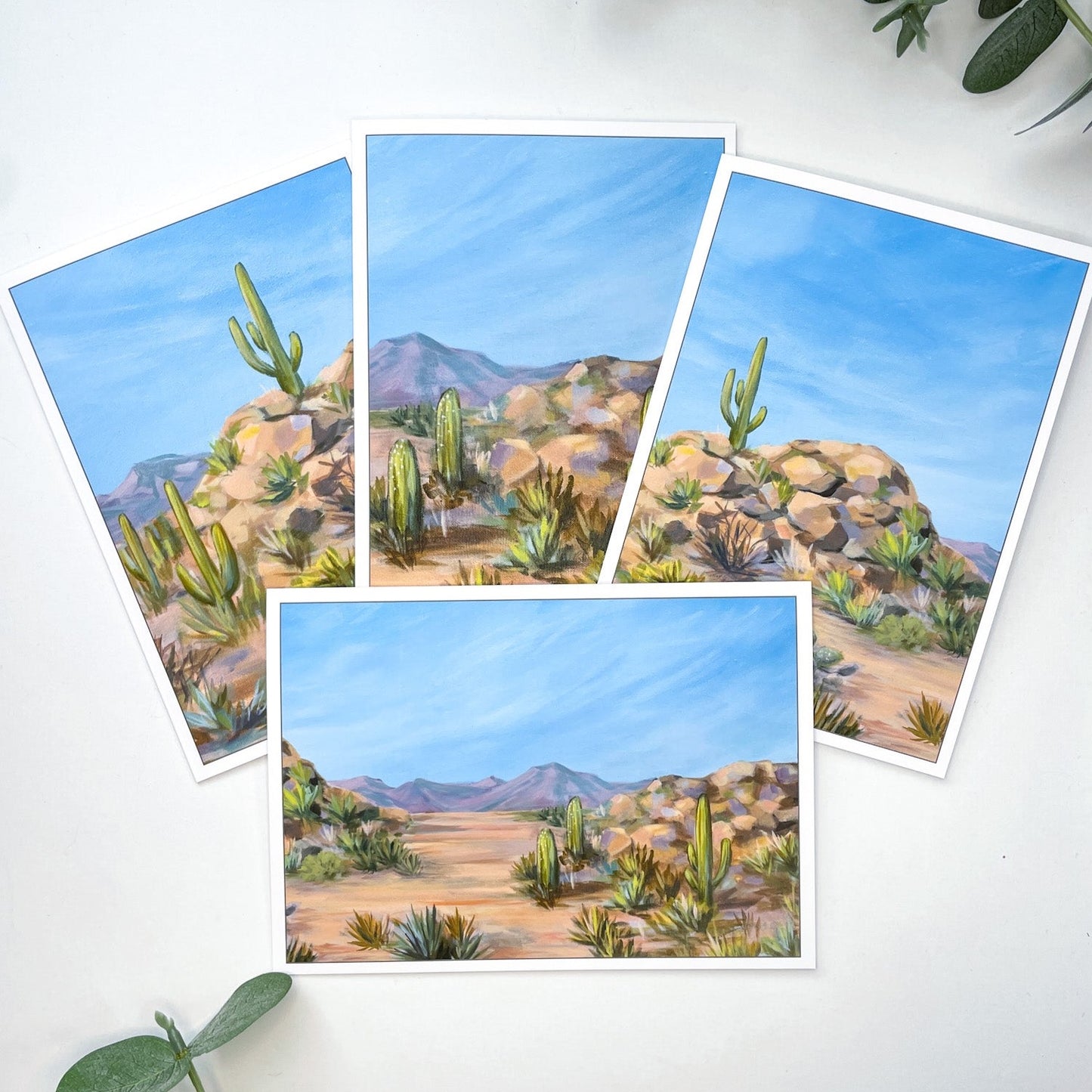 The Desert Collection 5x7" Greeting Cards